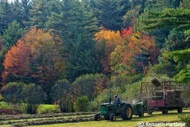 baling hay